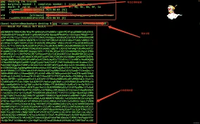 加密货币中导入导出密钥指什么？钱包迁移该如何操作？
